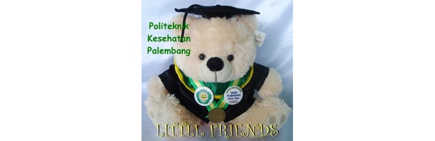 Boneka Wisuda Politeknik Kesehatan Depkes Palembang